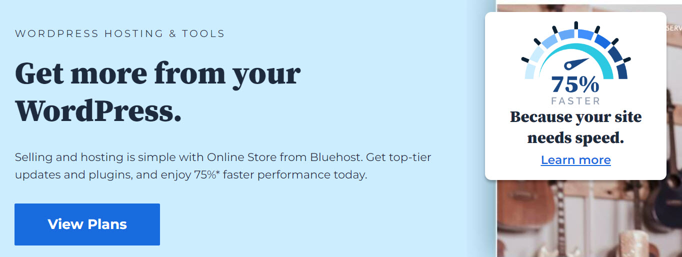 Bluehost features